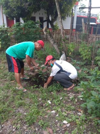 Warga Rejodadi Lakukan Penanaman Pohon Buah